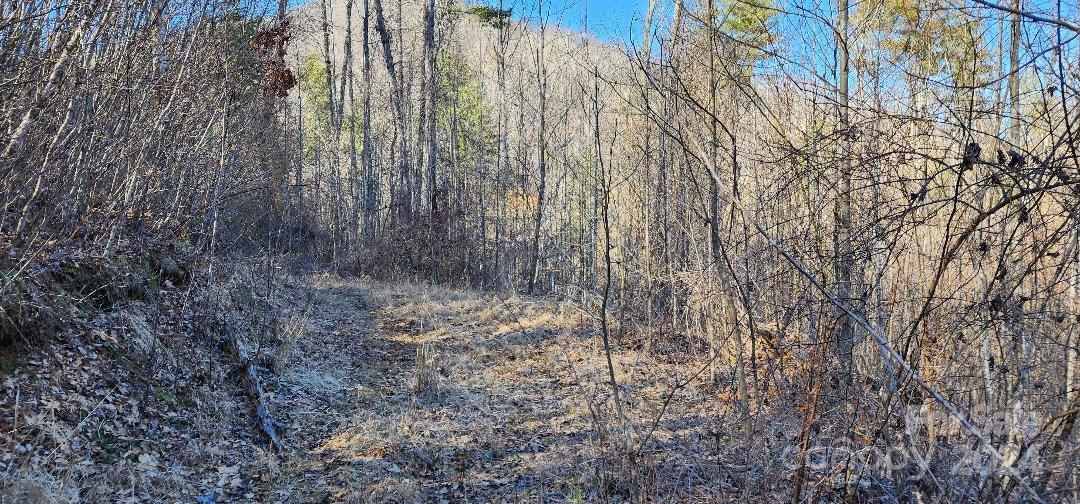 0 Hickory Nut Ridge Road Burnsville, NC 28714 - Photo 33 of 34 Gallery Image 33