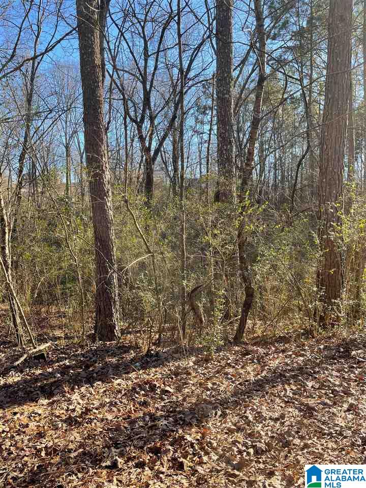 0 Post Oak Road, Unit 20 Anniston, AL 36206 - Photo 5 of 5
