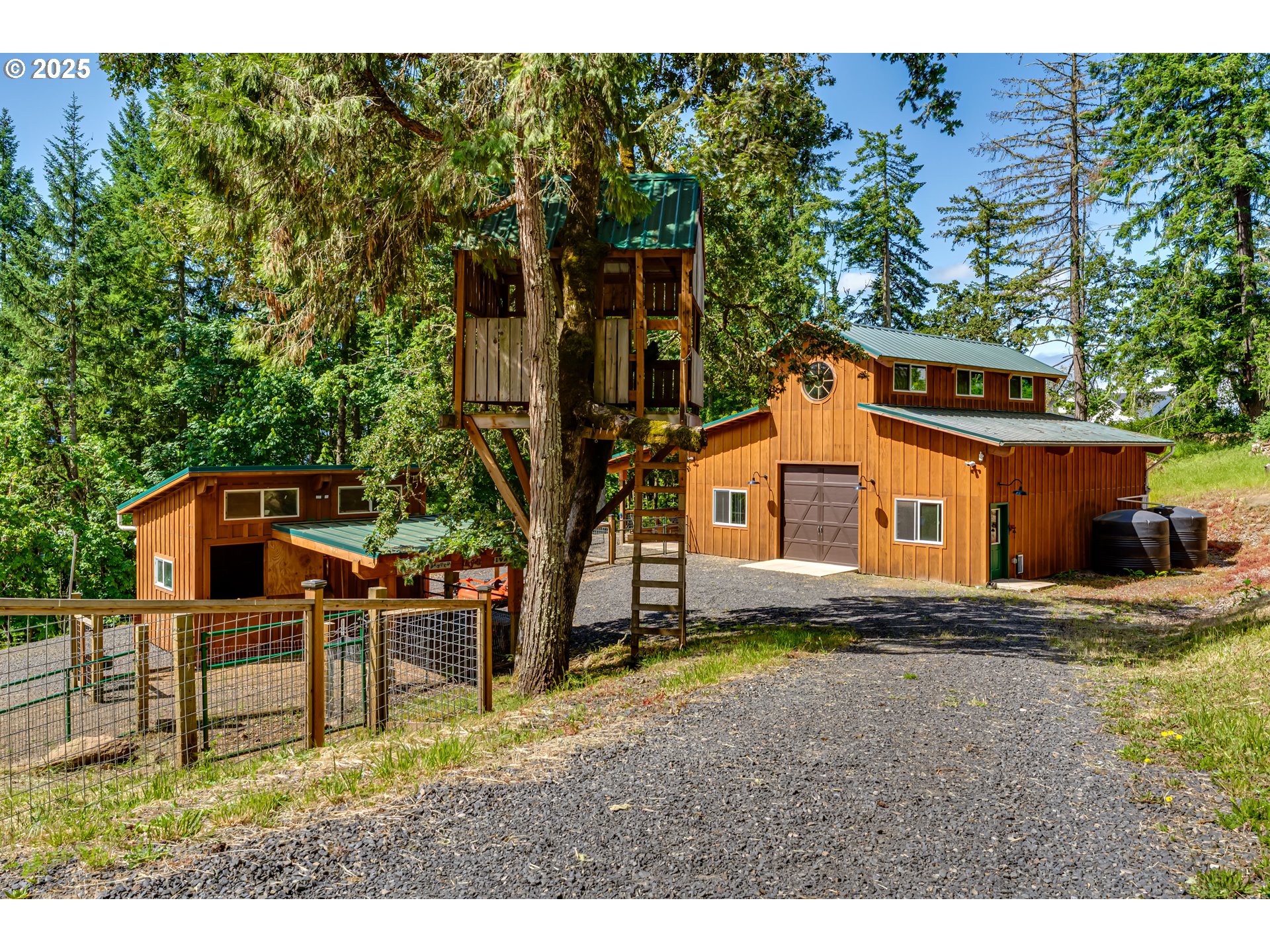 86561 R.R. Baker Road Springfield, OR 97478 - Photo 17 of 47 a backyard of a house with barbeque oven