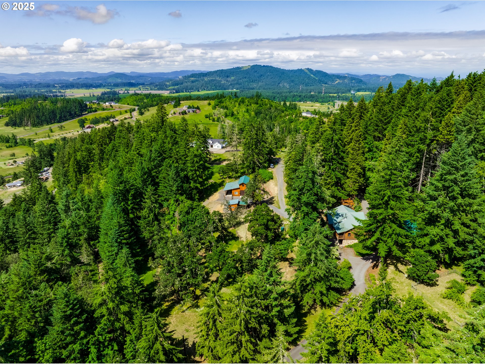 86561 R.R. Baker Road Springfield, OR 97478 - Photo 18 of 47 a view of a yard with an outdoor space