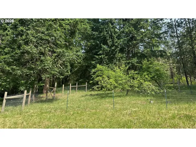 a black and white photo of a park