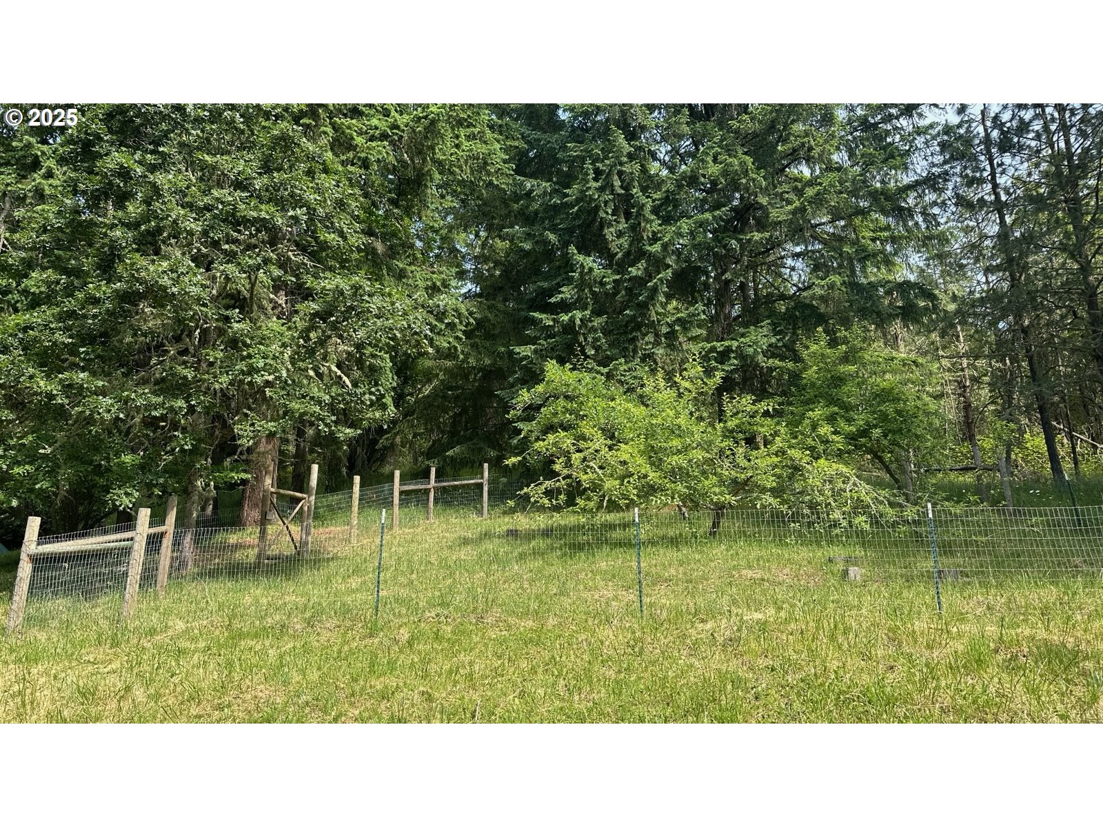 86561 R.R. Baker Road Springfield, OR 97478 - Photo 45 of 47 a black and white photo of a house