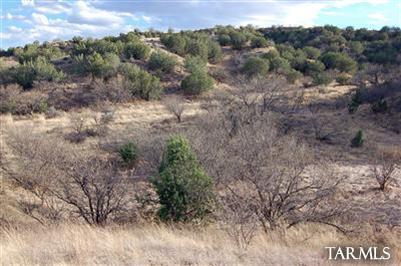 Ranch Road, Unit WEST Patagonia, AZ 85624 - Photo 6 of 15