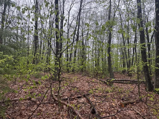 $219,900 | 0 Old Walpole/valley View Road, Keene, NH 03431