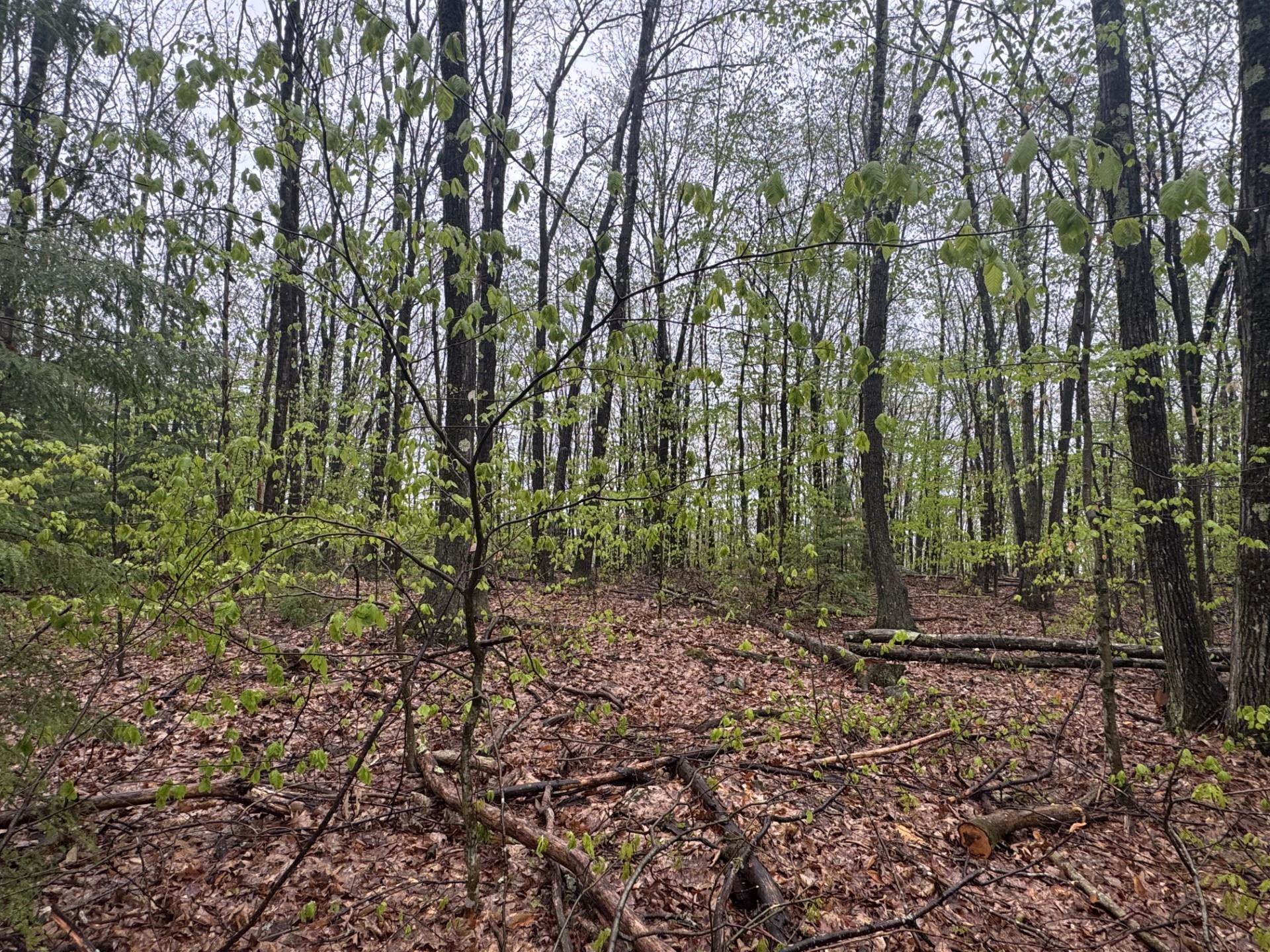 0 Old Walpole/valley View Road Keene, NH 03431 - Photo 4 of 4