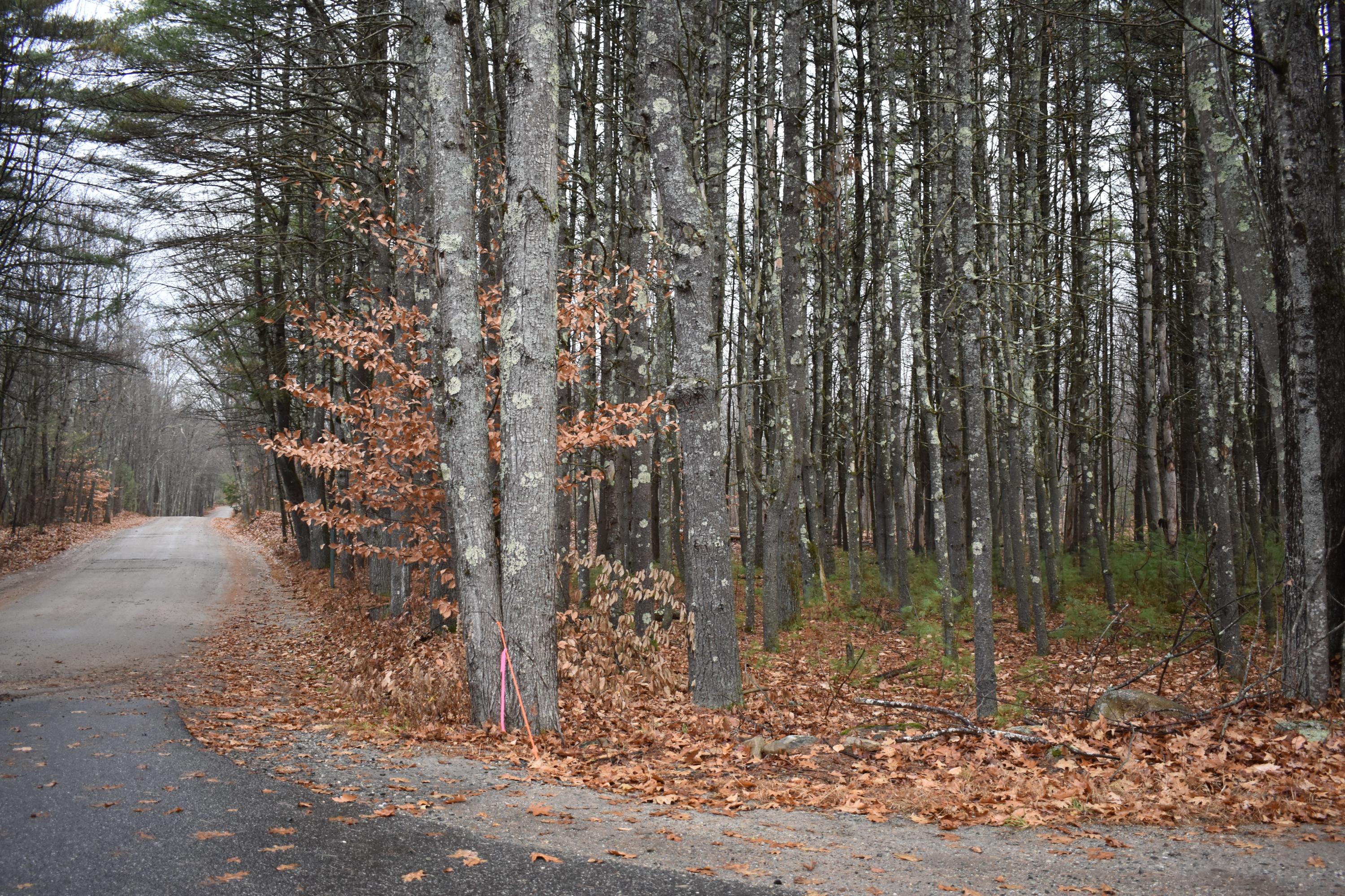 Tbd Williams Road Lyman, ME 04002 - Photo 2 of 2 DSC_0177