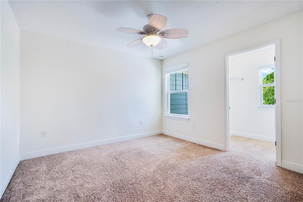 9009 Palm Key Avenue Oldsmar, FL 34677 - Photo 29 of 58