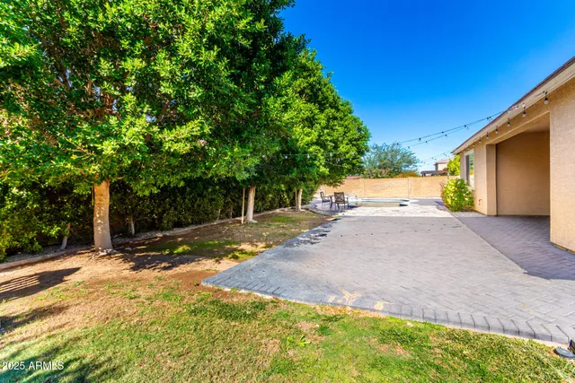 a view of a yard with plants and trees