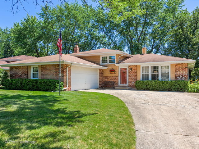 7827 Rohrer Drive Downers Grove, IL 60516 - Photo 1 of 18