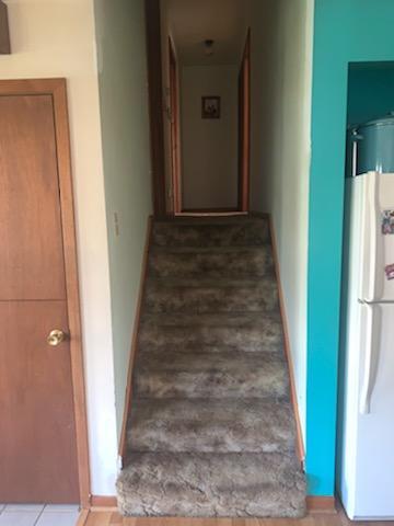 1009 South Cooper Road New Lenox, IL 60451 - Photo 5 of 11
