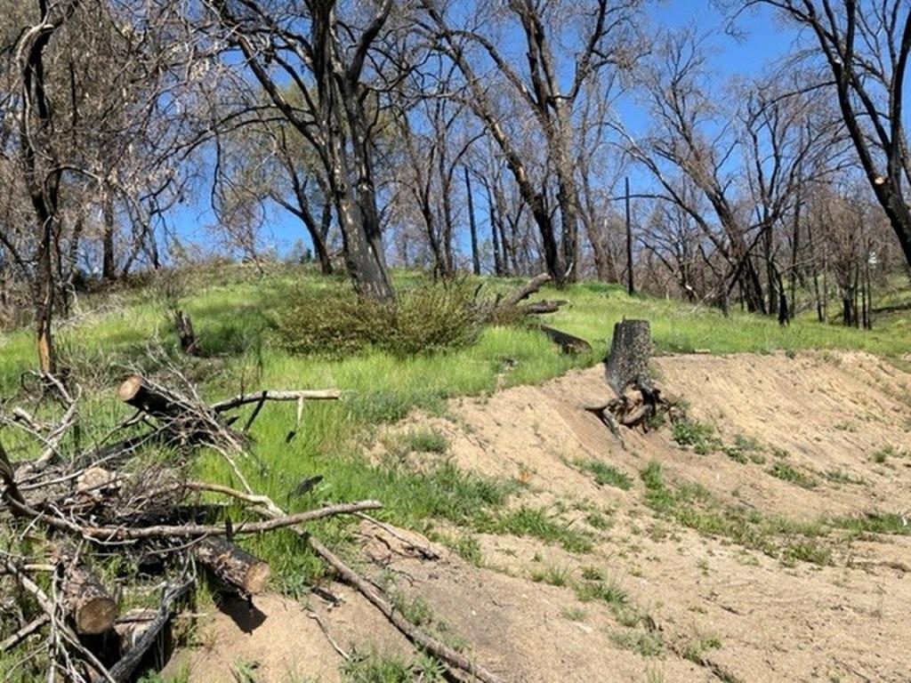 59827 Hillcrest Road North Fork, CA 93643 - Photo 4 of 10 a backyard of a house with lots of green space
