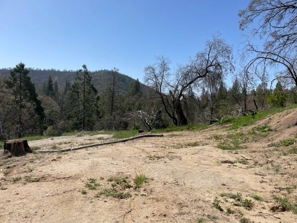 59827 Hillcrest Road North Fork, CA 93643 - Photo 5 of 10 a view of a yard with a tree