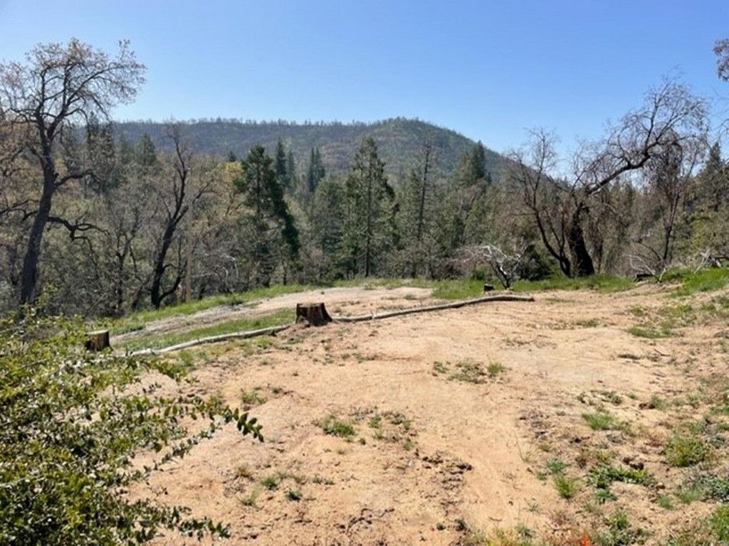 59827 Hillcrest Road North Fork, CA 93643 - Photo 7 of 10 a view of a snow on the middle of a yard