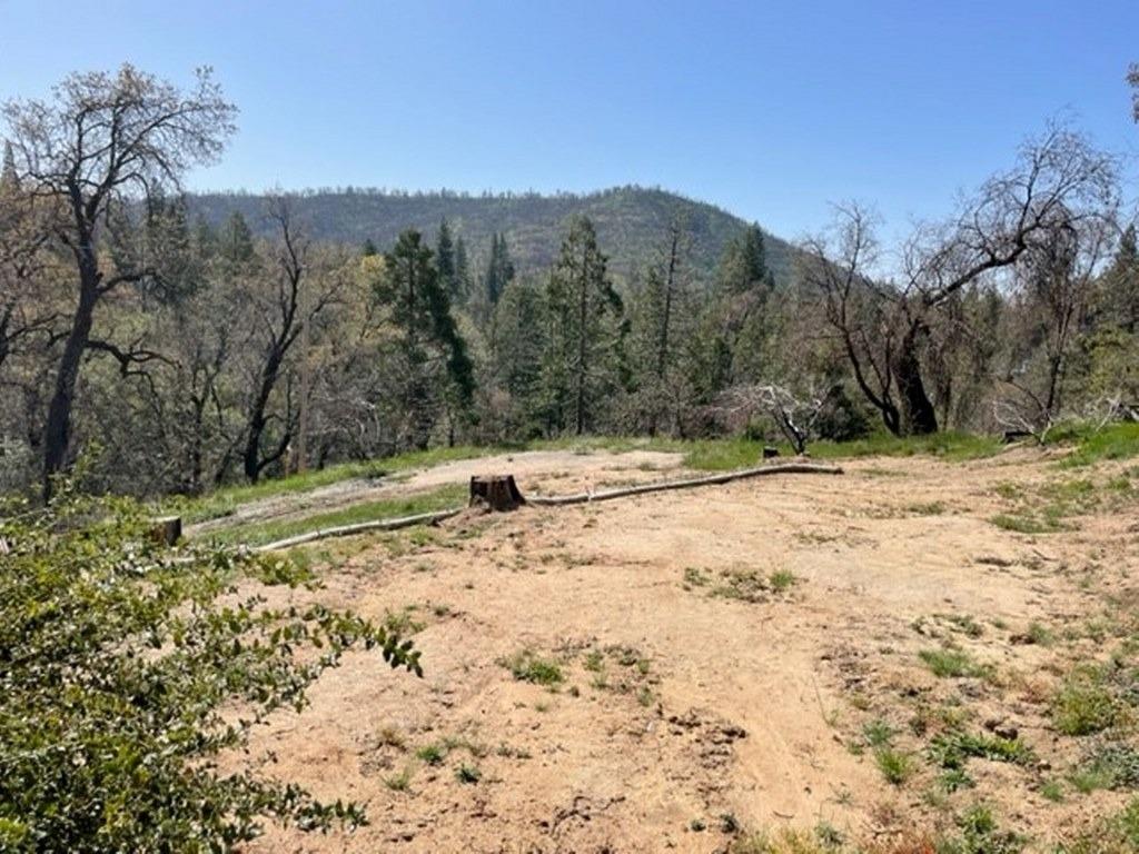 59827 Hillcrest Road North Fork, CA 93643 - Photo 8 of 10 a view of a yard with a tree