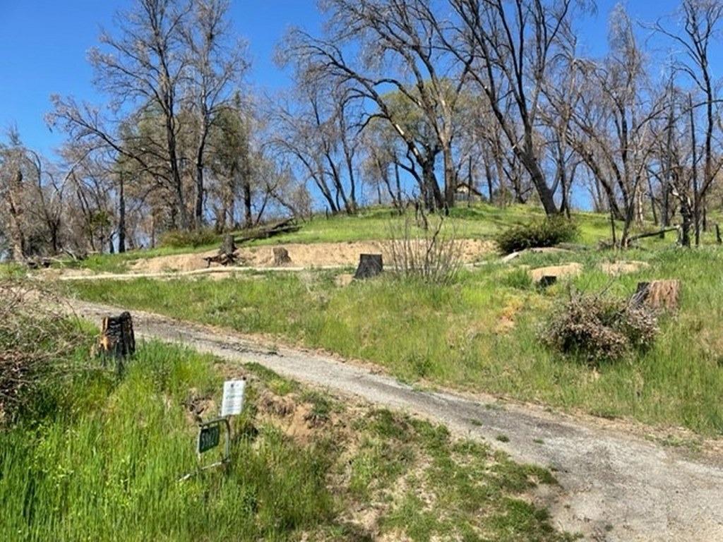 59827 Hillcrest Road North Fork, CA 93643 - Photo 10 of 10 a view of a yard with large trees