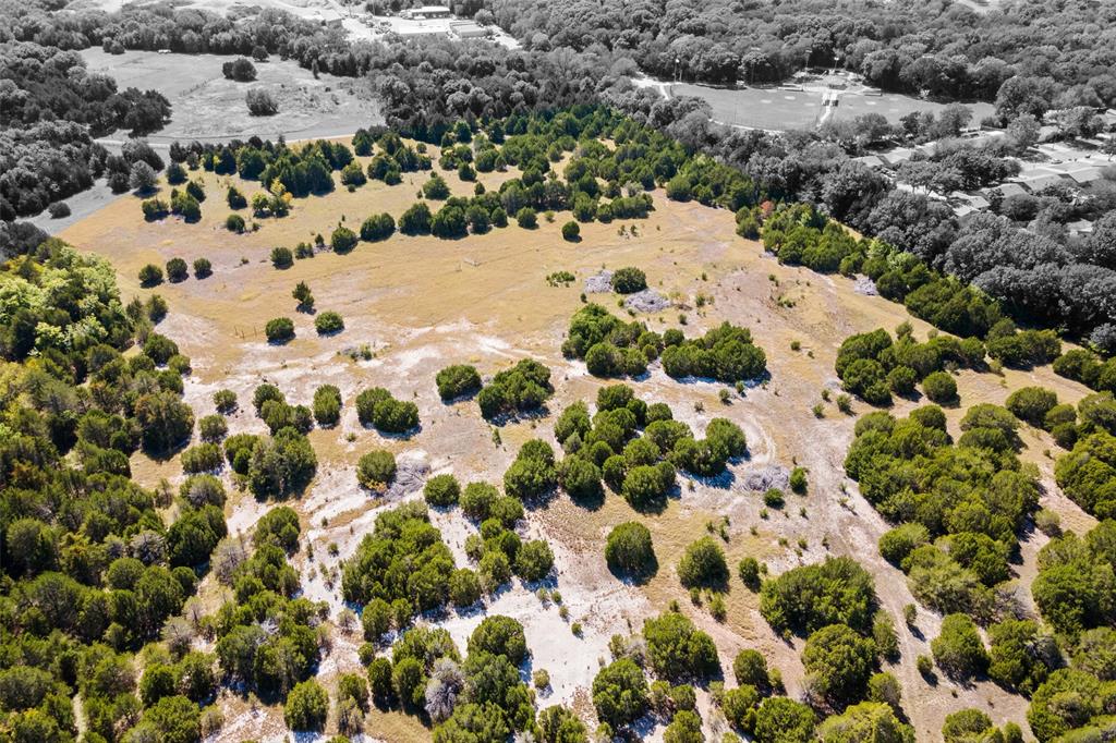 a view of a lot of flowers and trees in the background