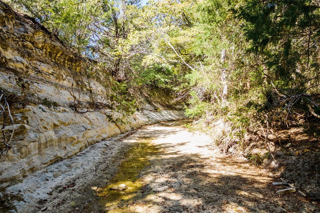 1198 South Clark Road Cedar Hill, TX 75104 - Photo 15 of 33 a view of a yard with a tree