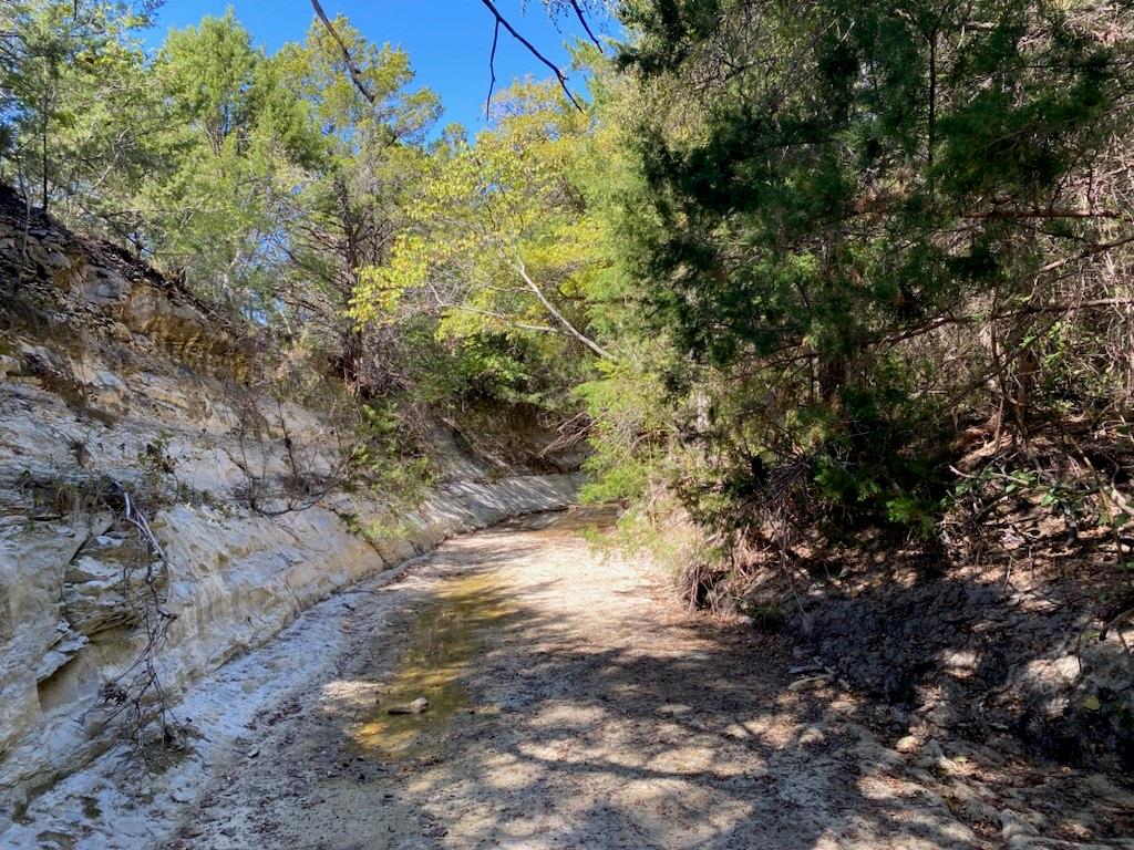 1198 South Clark Road Cedar Hill, TX 75104 - Photo 17 of 33 a view of a yard with plants and trees