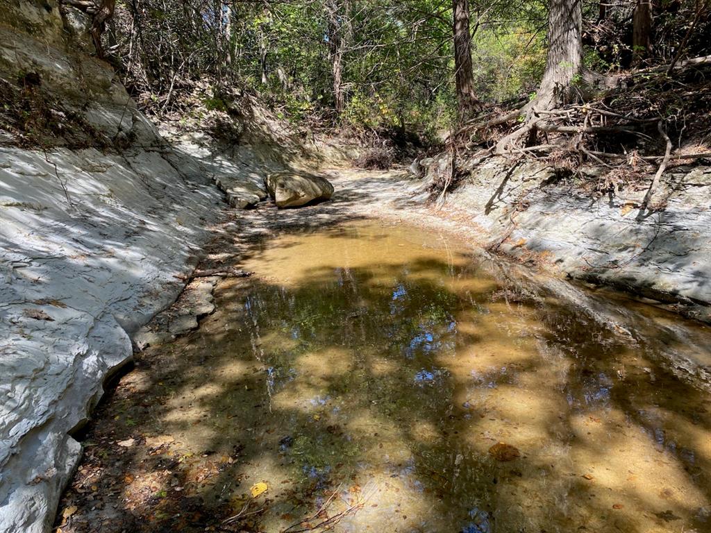 1198 South Clark Road Cedar Hill, TX 75104 - Photo 19 of 33 a view of outdoor space