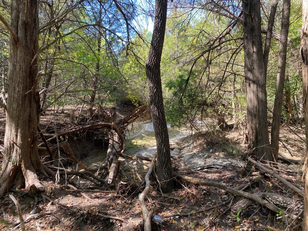 1198 South Clark Road Cedar Hill, TX 75104 - Photo 21 of 33 a backyard of a house with lots of trees