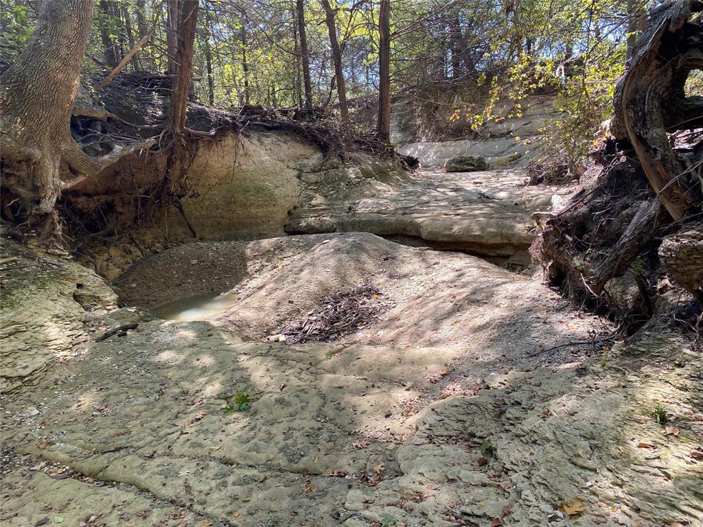 1198 South Clark Road Cedar Hill, TX 75104 - Photo 22 of 33 a view of a yard with plants and trees
