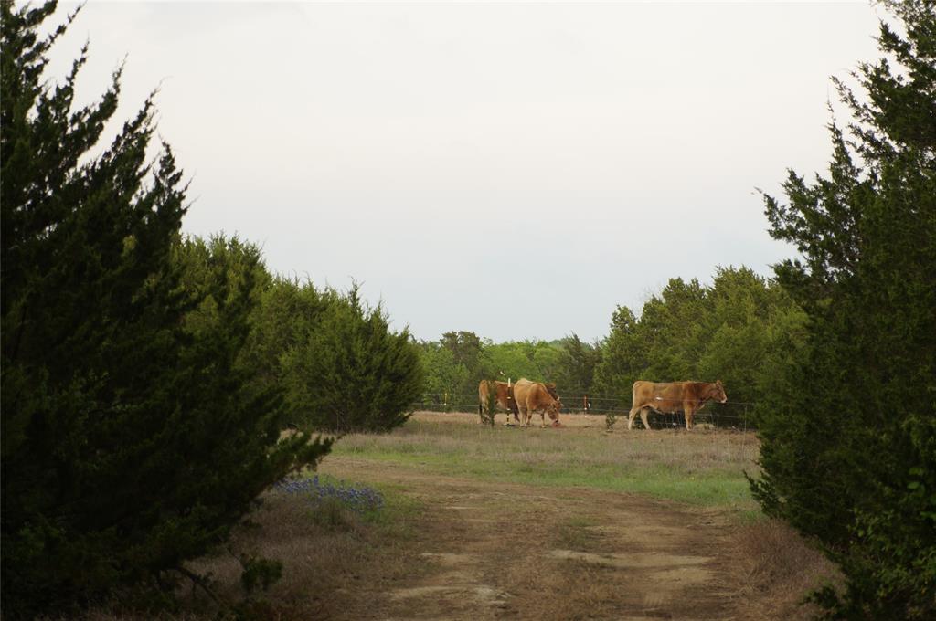 1198 South Clark Road Cedar Hill, TX 75104 - Photo 25 of 33 a view of a outdoor space