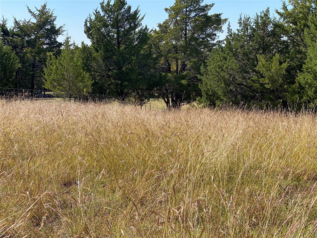 1198 South Clark Road Cedar Hill, TX 75104 - Photo 31 of 33 a view of a lake view