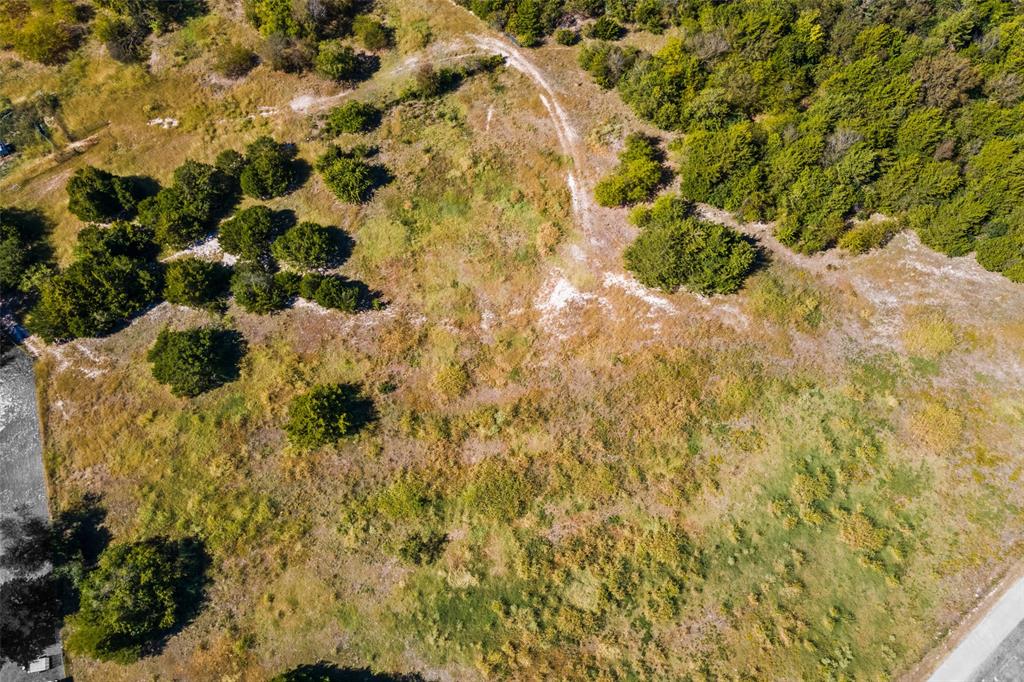 1198 South Clark Road Cedar Hill, TX 75104 - Photo 5 of 33 a view of a plants of the house