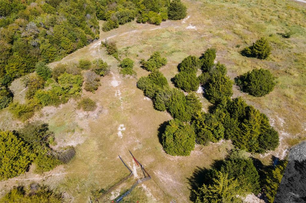 1198 South Clark Road Cedar Hill, TX 75104 - Photo 7 of 33 a view of a flower