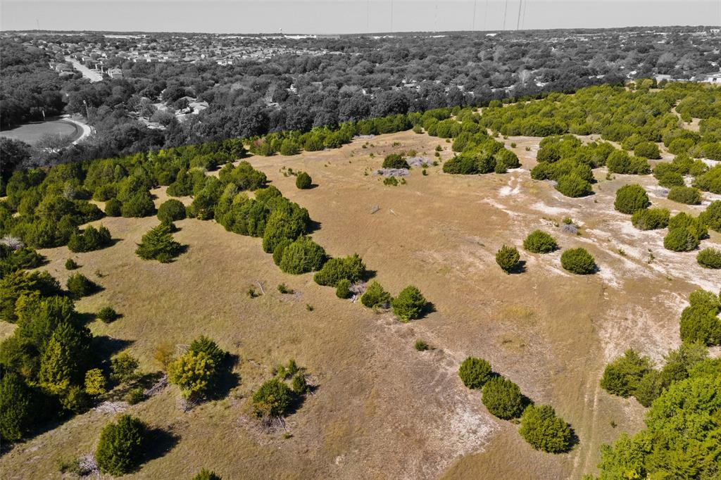 1198 South Clark Road Cedar Hill, TX 75104 - Photo 8 of 33 a view of a yard with plants
