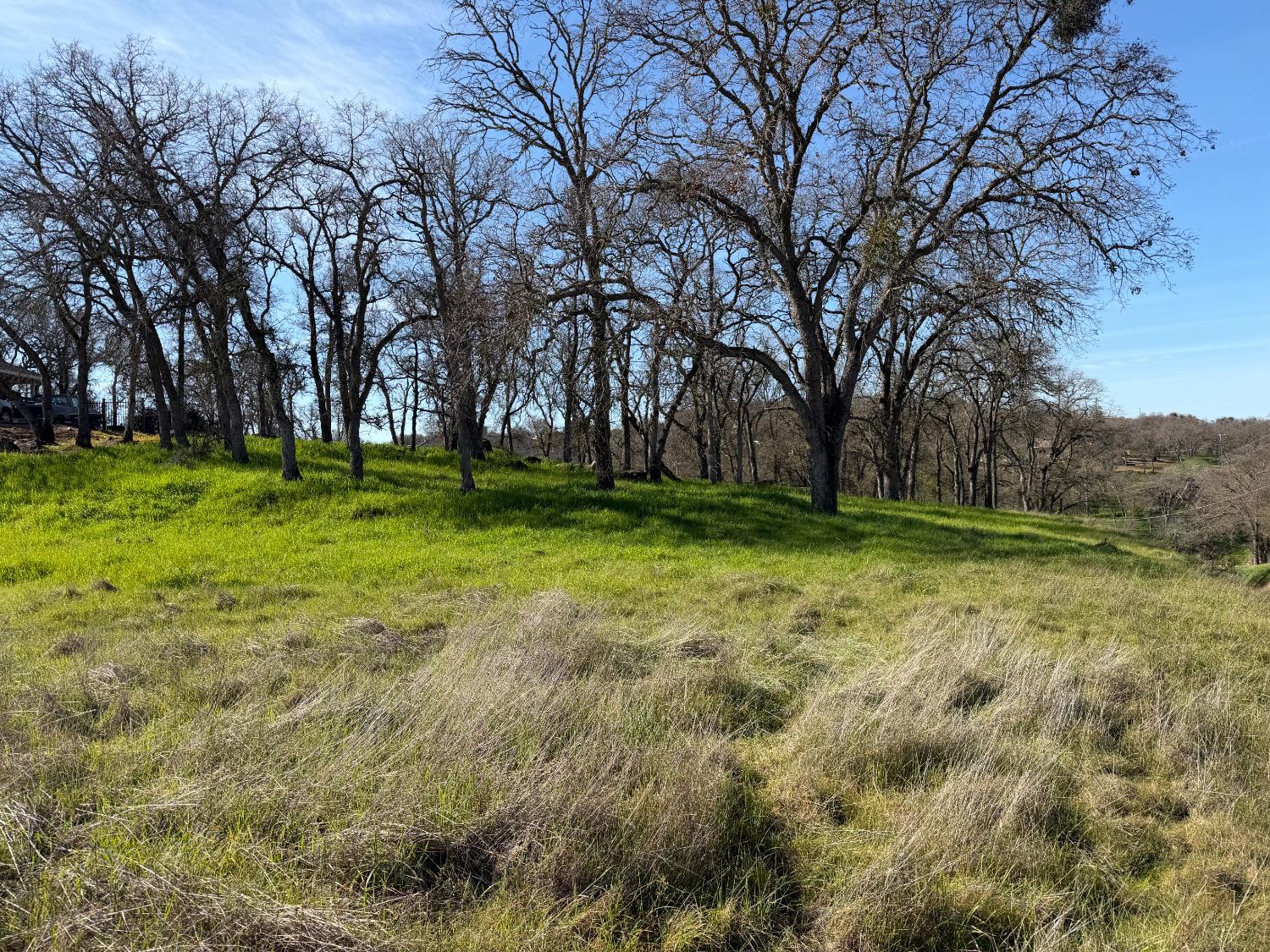 3192 Antonovich Road Valley Springs, CA 95252 - Photo 3 of 8