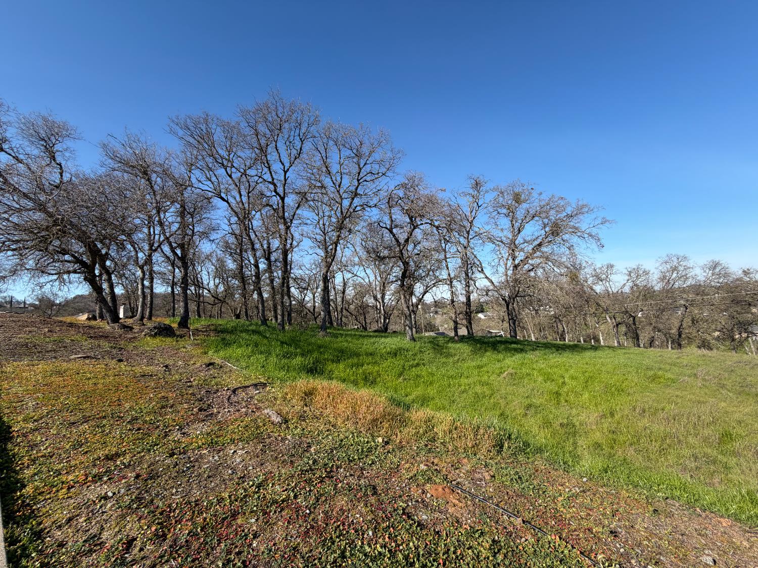 3192 Antonovich Road Valley Springs, CA 95252 - Photo 5 of 8