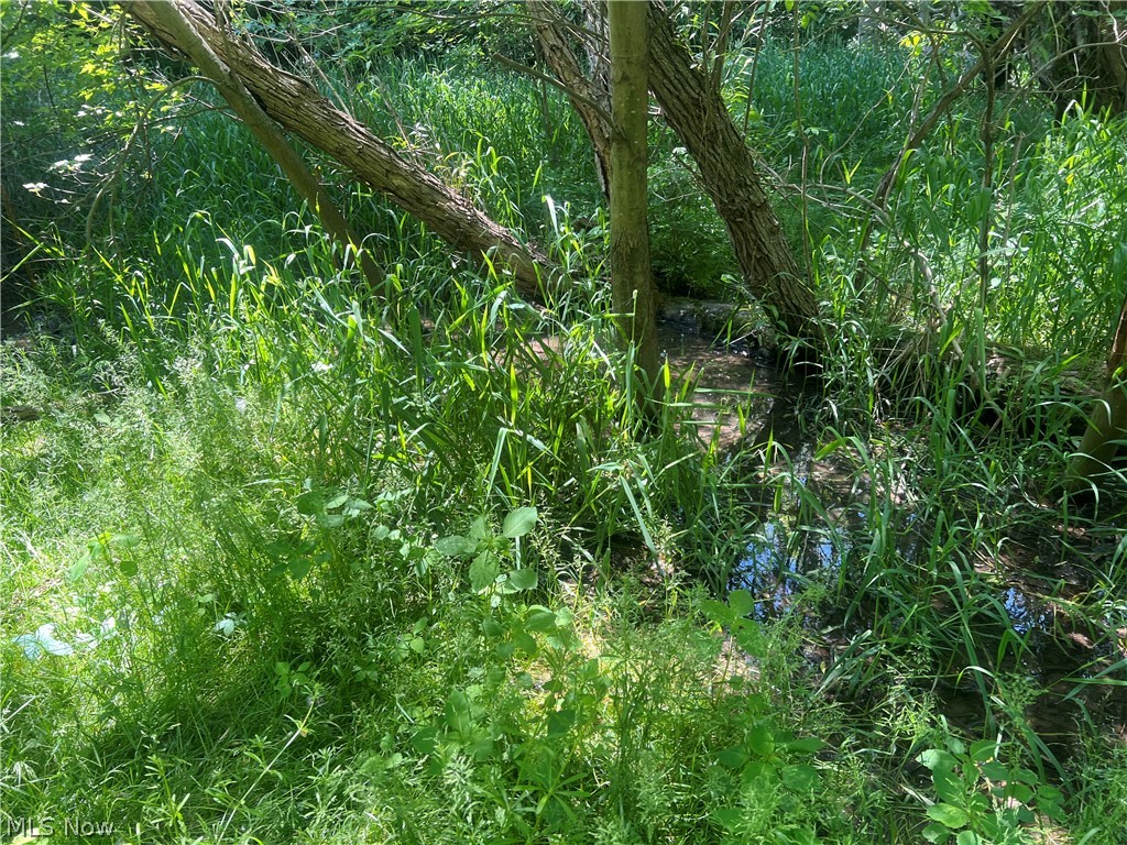1811 Jeffries Road Huron, OH 44839 - Photo 11 of 50 creek