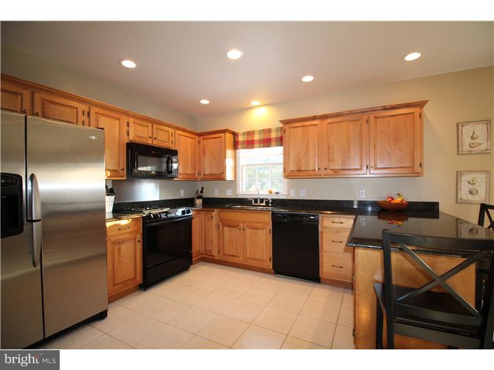 130 Grande Boulevard Sinking Spring, PA 19608 - Photo 4 of 25 Kitchen