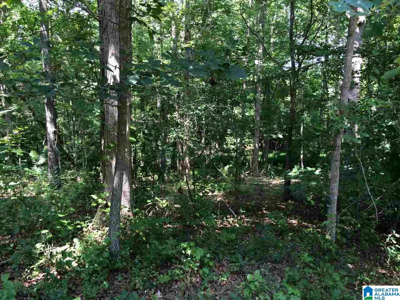 Spunky Hollow Road, Unit 18 7 Oneonta, AL 35121 - Photo 33 of 46