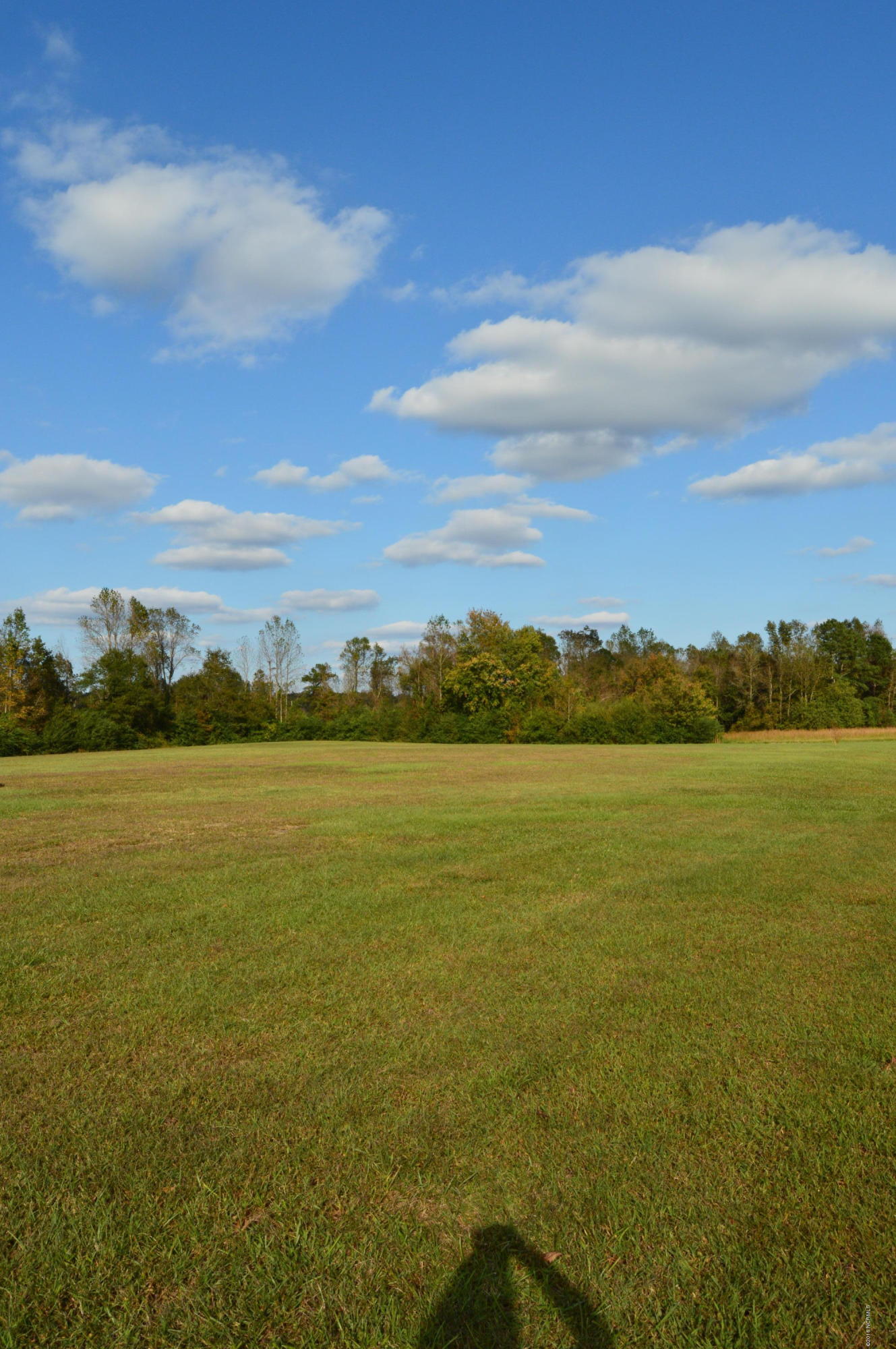 363 C R Edwards Road Beulaville, NC 28518 - Photo 31 of 36 DSC_0108