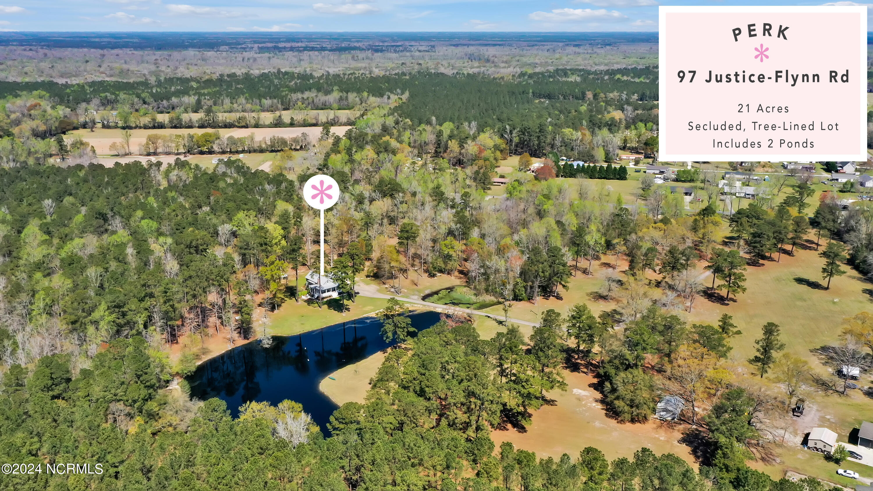97 Justice-Flynn Road Riegelwood, NC 28456 - Photo 2 of 64 Arial photo