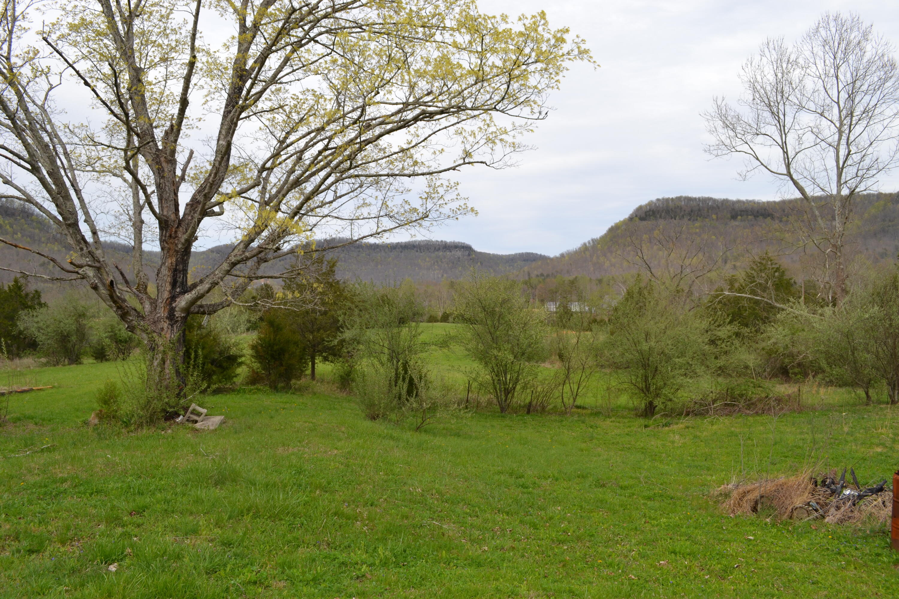 300 Sang Br Road Irvine, KY 40336 - Photo 28 of 62 DSC_5598
