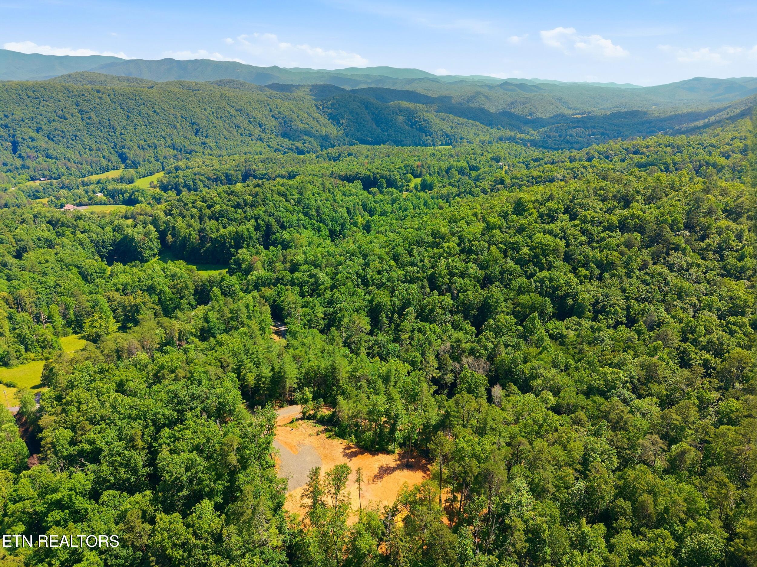 909 The Loop Road Walland, TN 37886 - Photo 15 of 32 7_909_the_loop_rd_0004