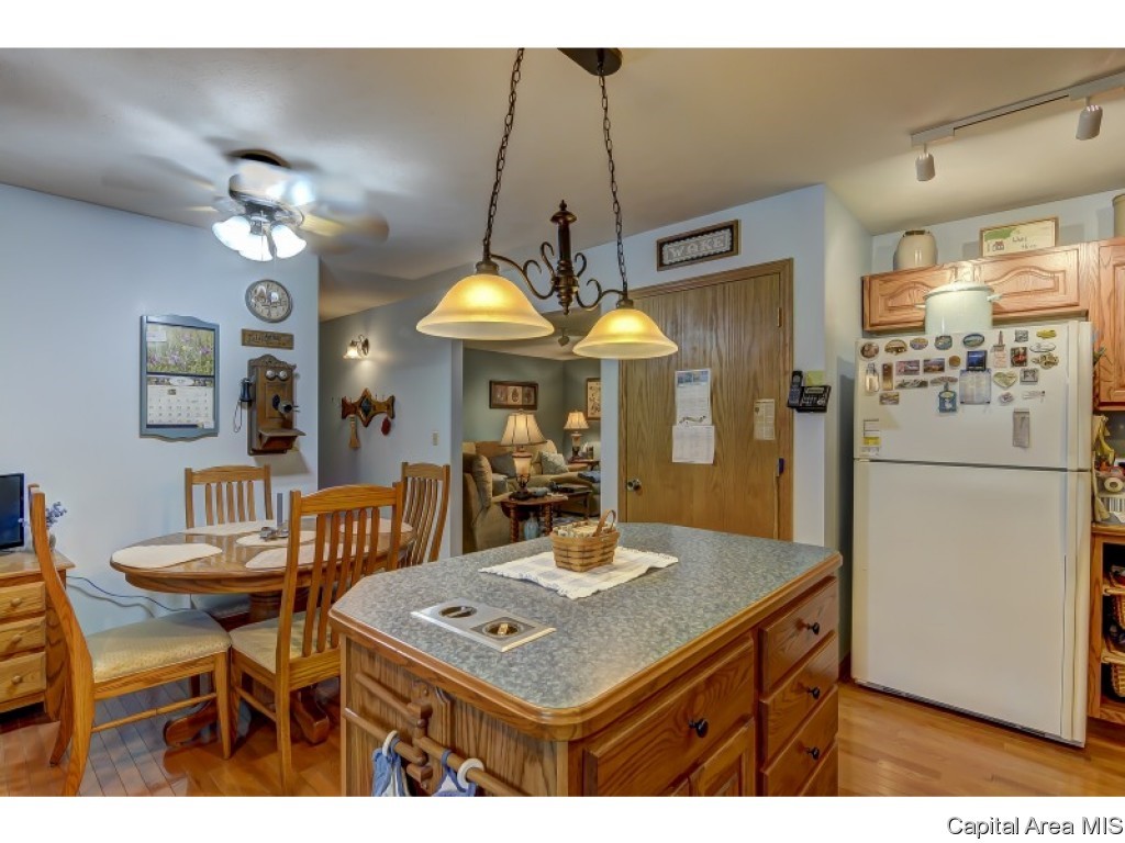 10345 Bell Fountain Road Dawson, IL 62520 - Photo 12 of 36 Gallery Image 12