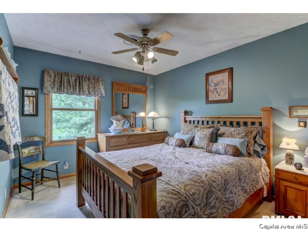 10345 Bell Fountain Road Dawson, IL 62520 - Photo 21 of 36 Gallery Image 21