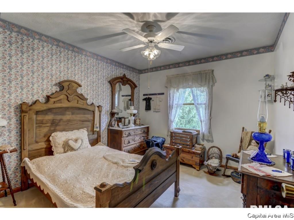 10345 Bell Fountain Road Dawson, IL 62520 - Photo 22 of 36 Gallery Image 22