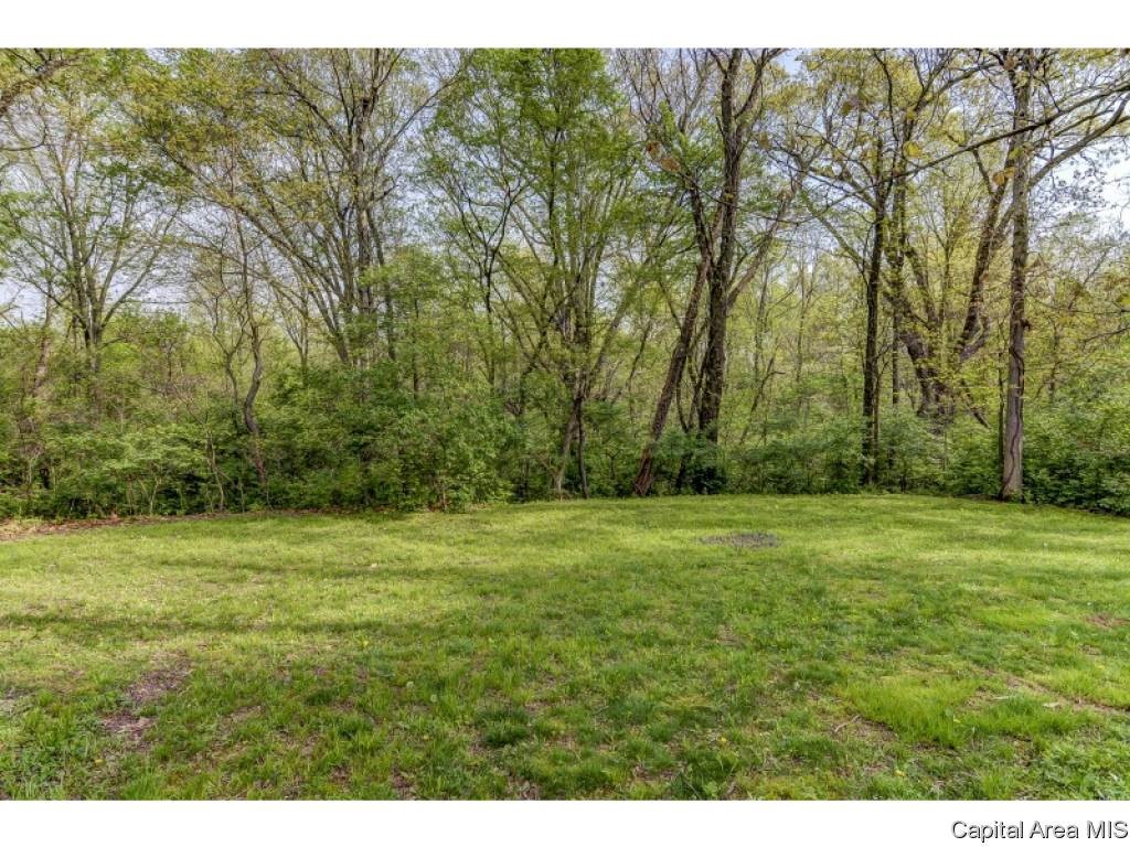 10345 Bell Fountain Road Dawson, IL 62520 - Photo 35 of 36 Gallery Image 35