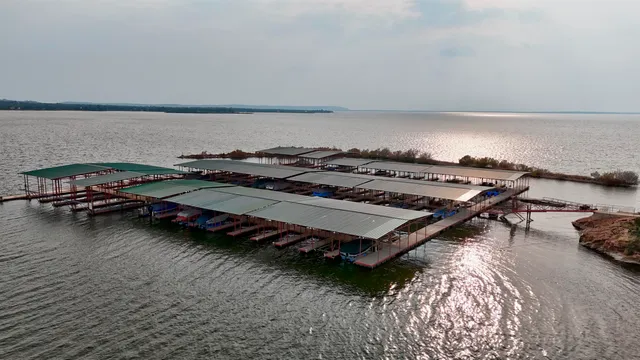 a view of a lake with a forest