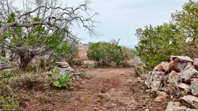 a view of a large yard with lots of green space