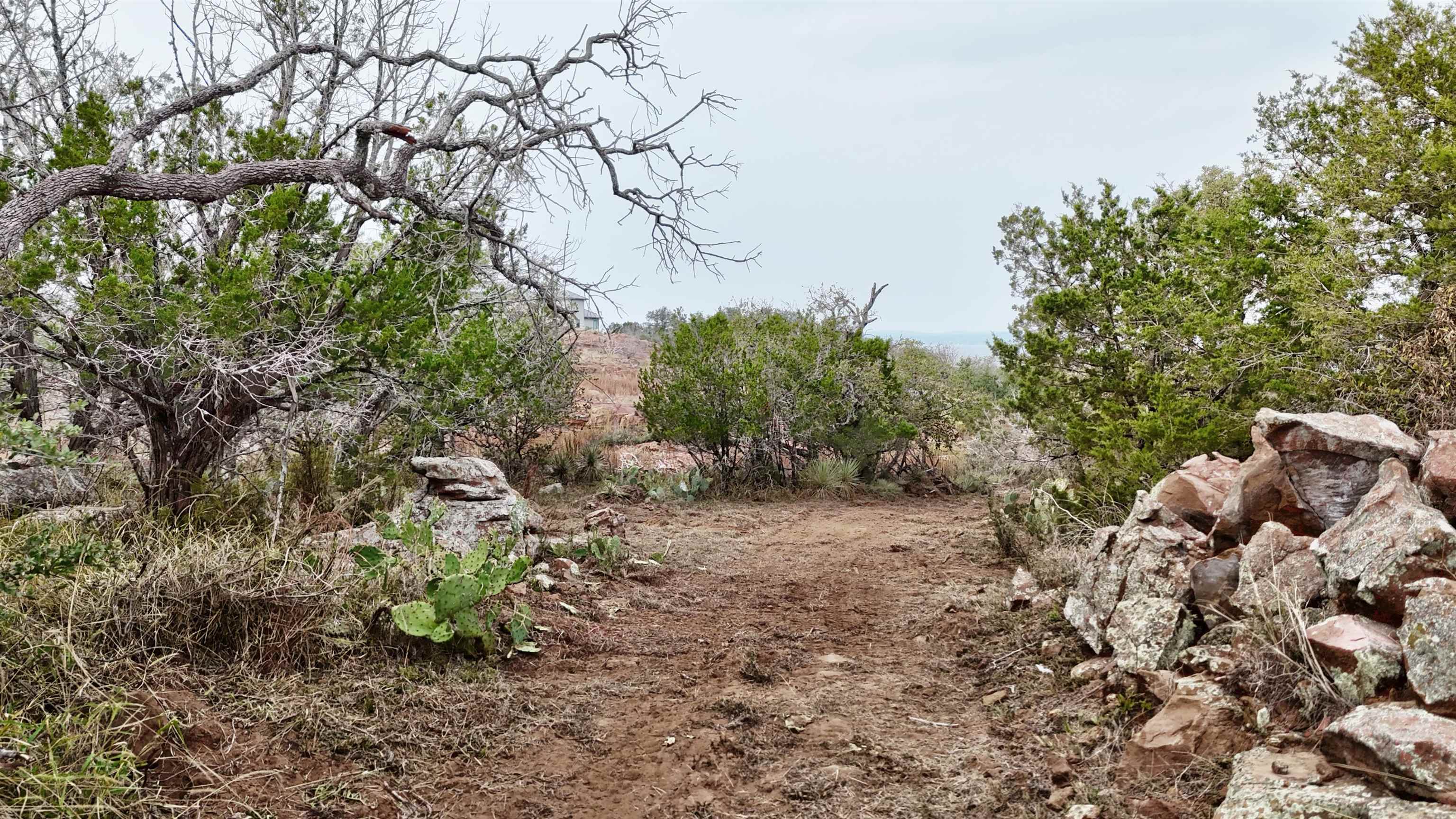 Tbd Peninsula Drive Burnet, TX 78611 - Photo 6 of 18 a backyard of a house with lots of green space