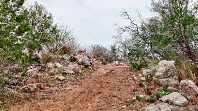 a view of a large building with trees in the background