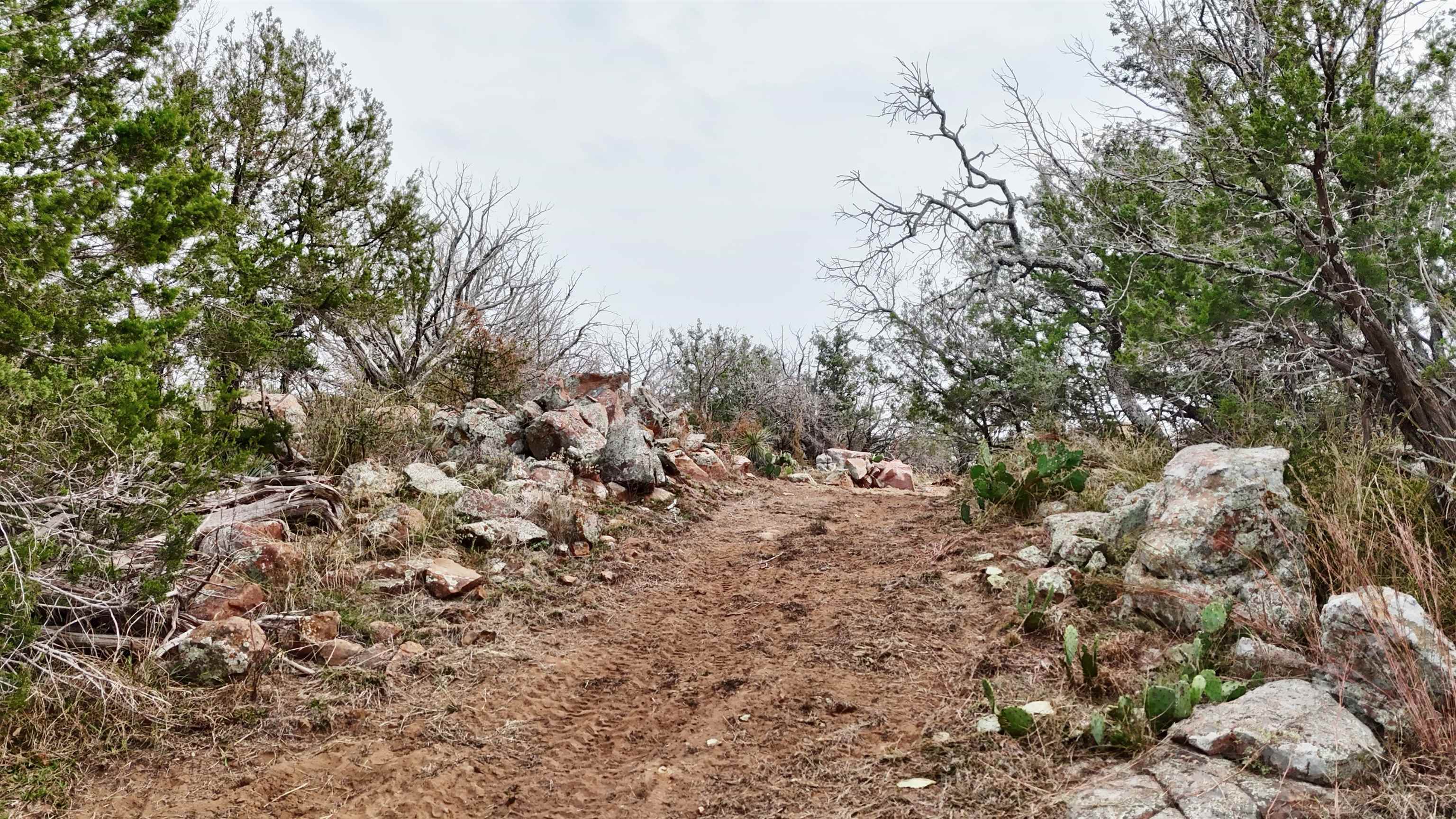 Tbd Peninsula Drive Burnet, TX 78611 - Photo 8 of 18 a view of a dry yard with lots of trees