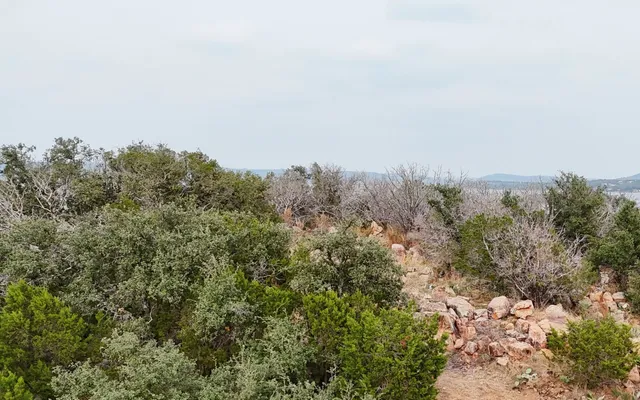 a view of lake with green space