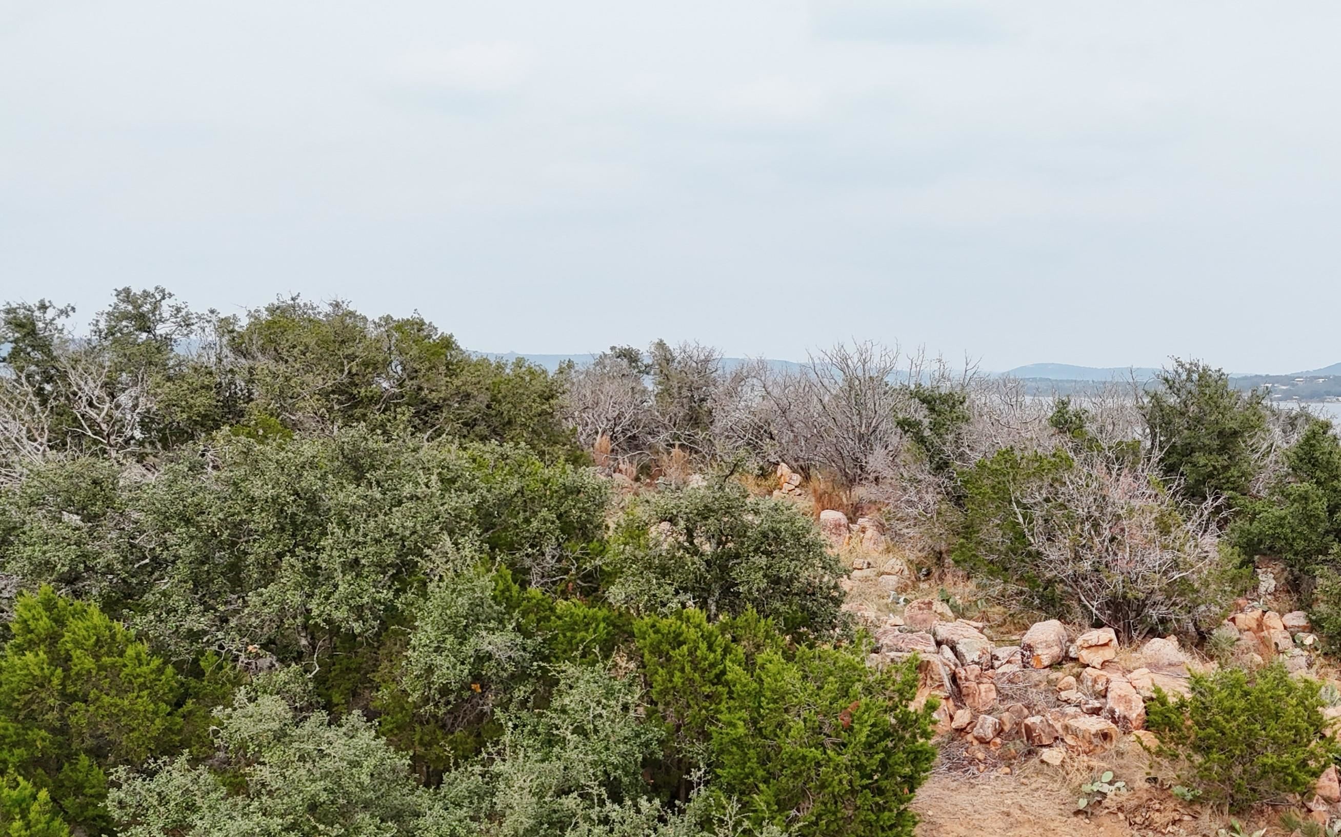Tbd Peninsula Drive Burnet, TX 78611 - Photo 10 of 18 a view of a large building with trees in the background